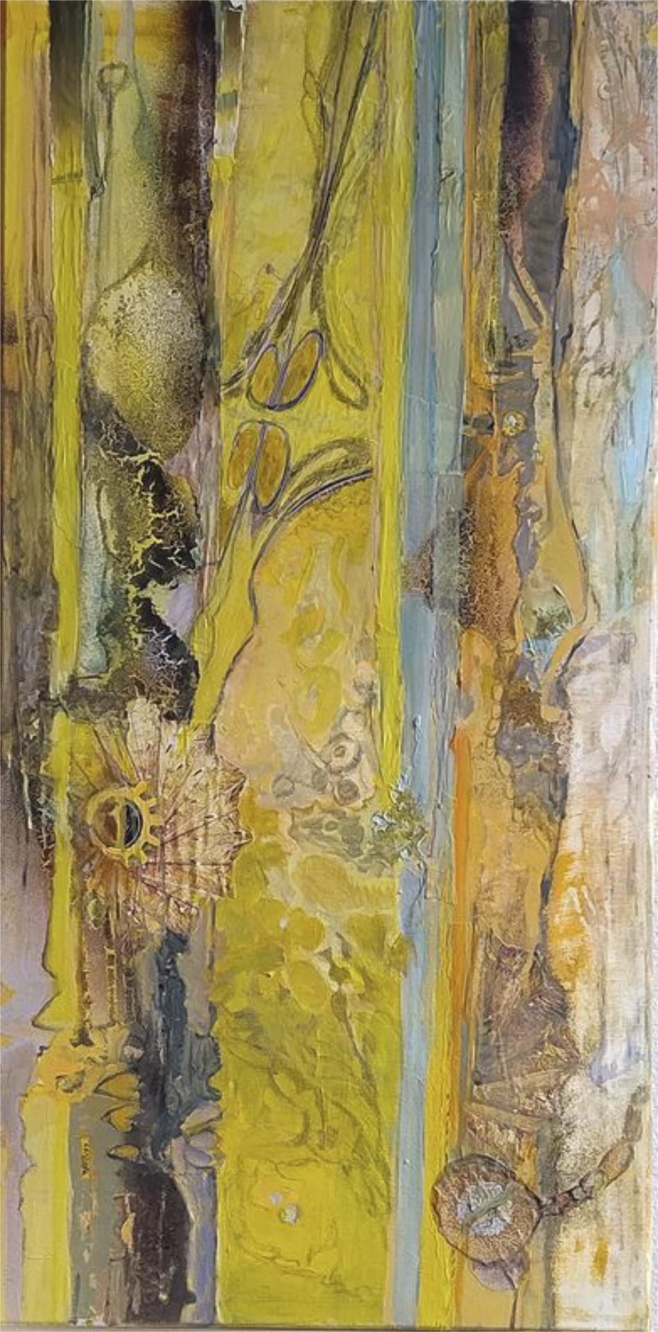 50 cm x 100 cm, 2025
