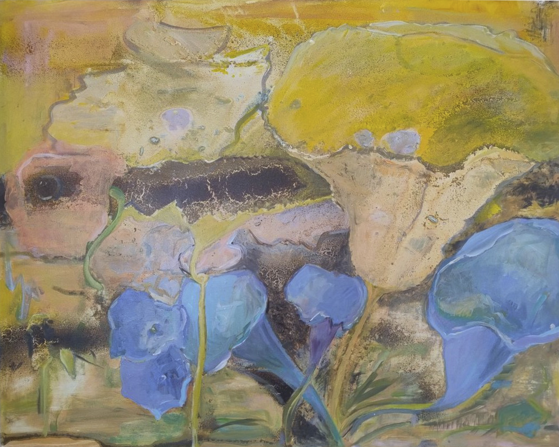 100 cm x 80 cm, 2025