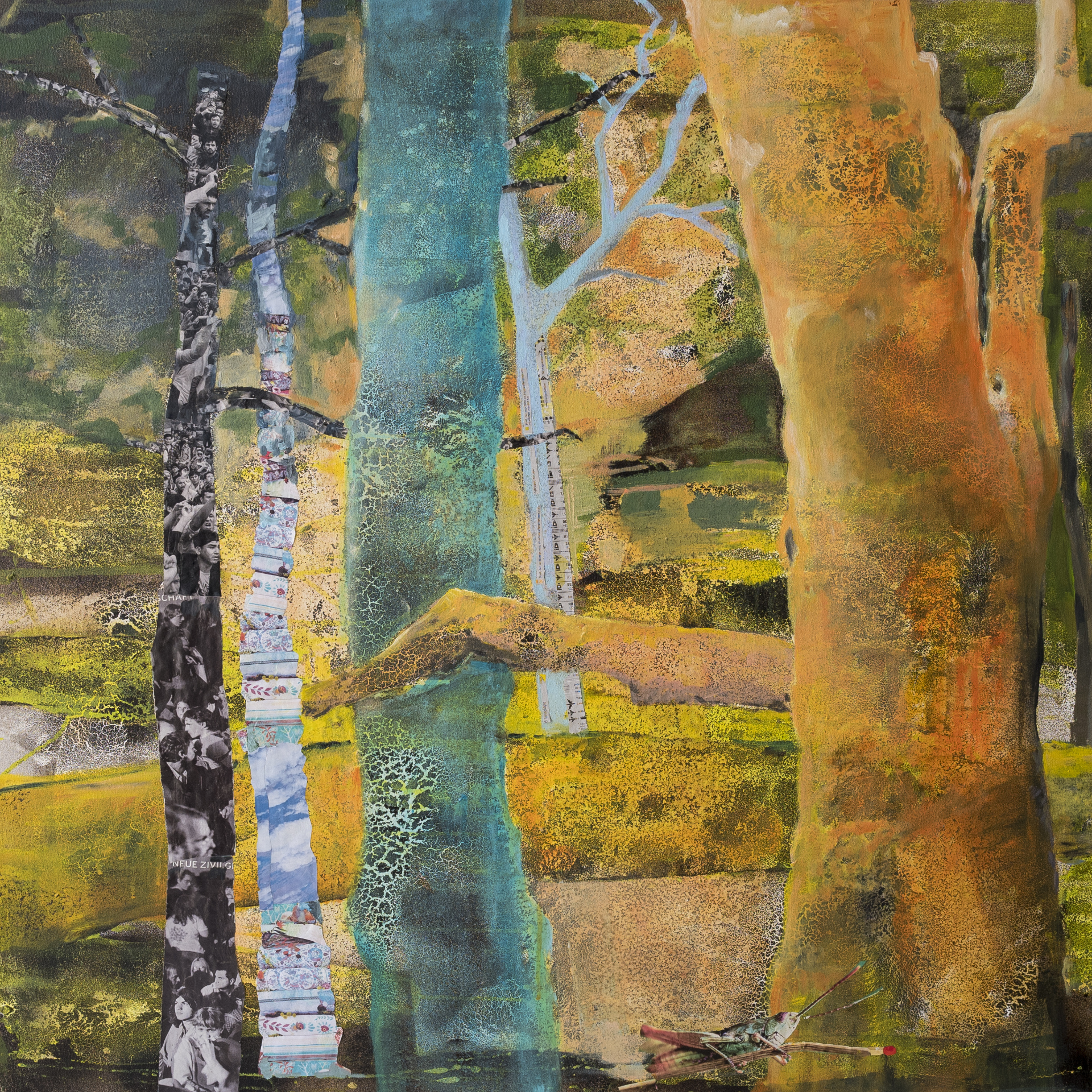 20 cm x 30 cm, 2014