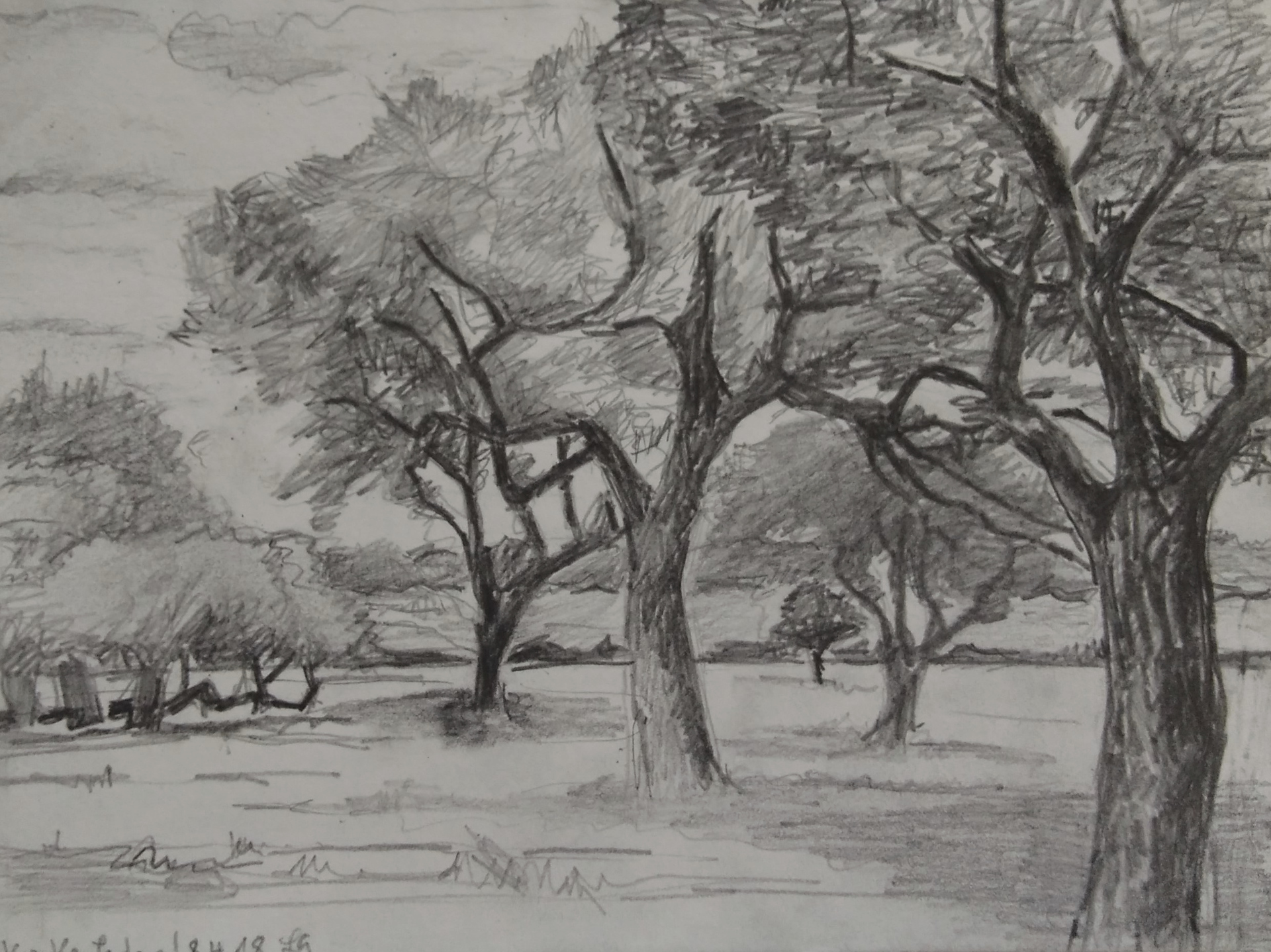 21 cm x 16,5 cm, 2018