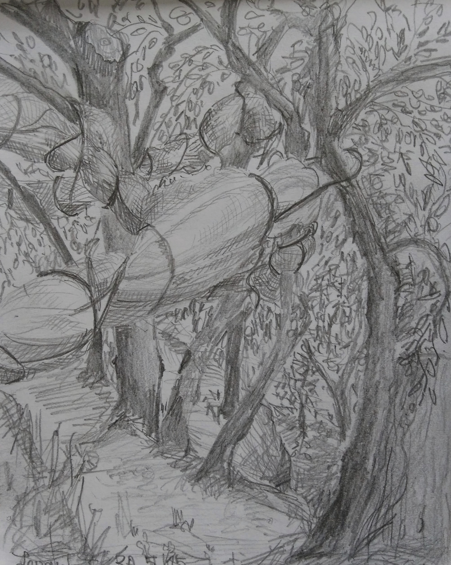 15 cm x 19 cm, 2015