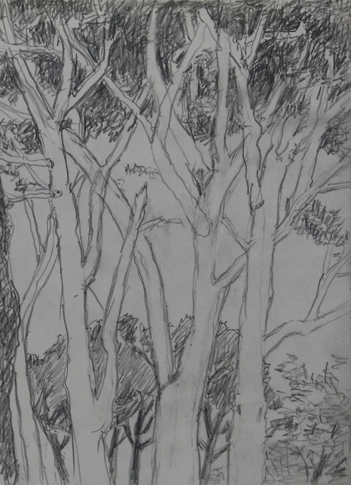 16 cm x 21 cm, 2015
