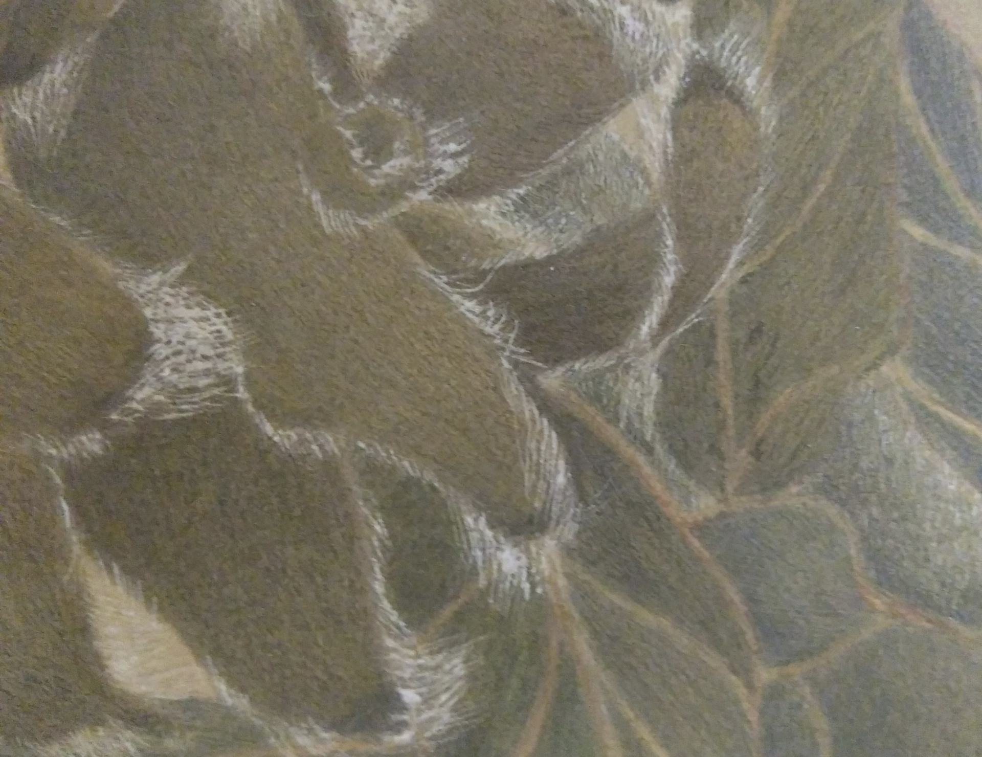35 cm x 40 cm (Ausschnitt), 1973