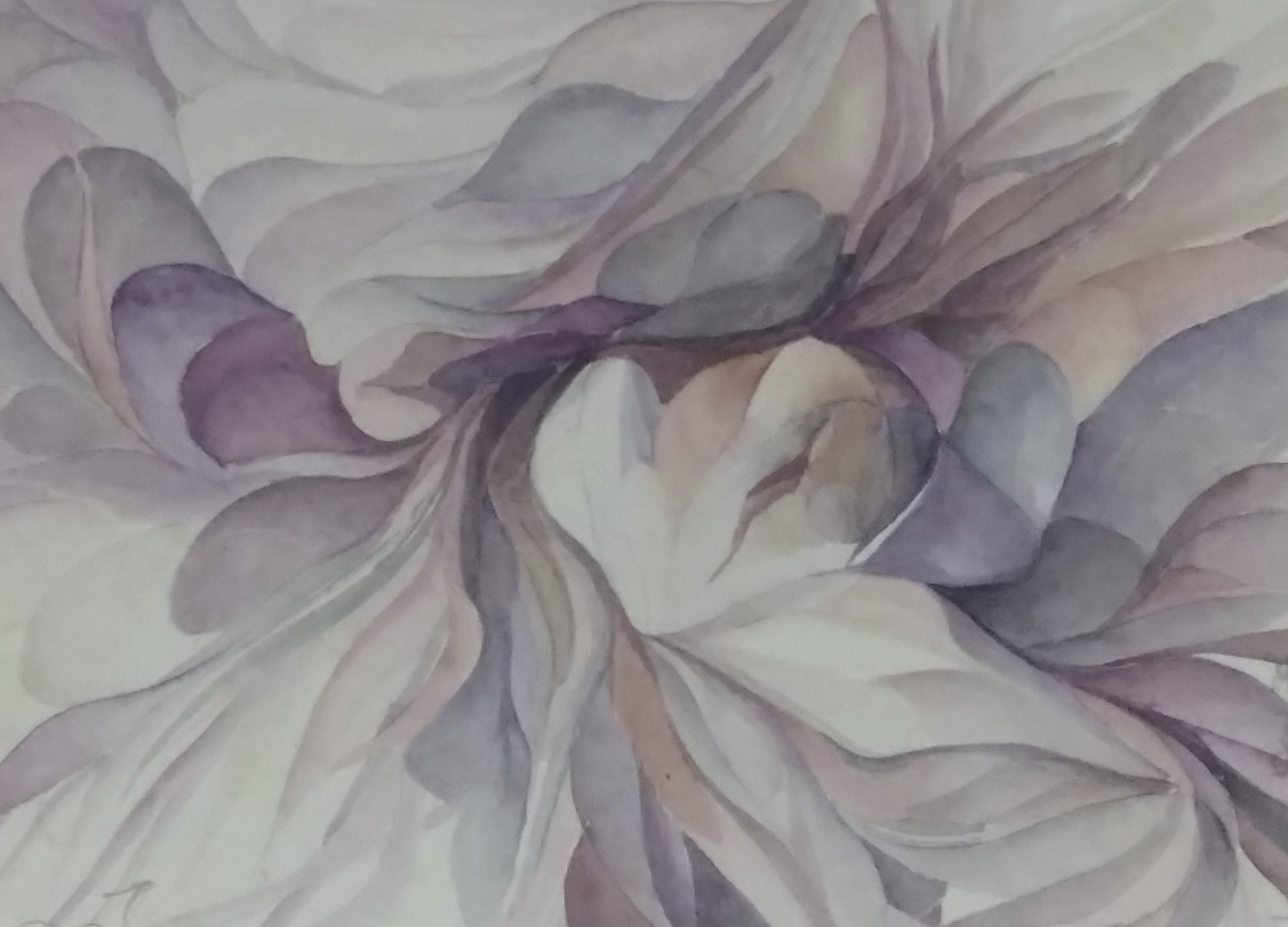 38 cm x 30 cm, 1976