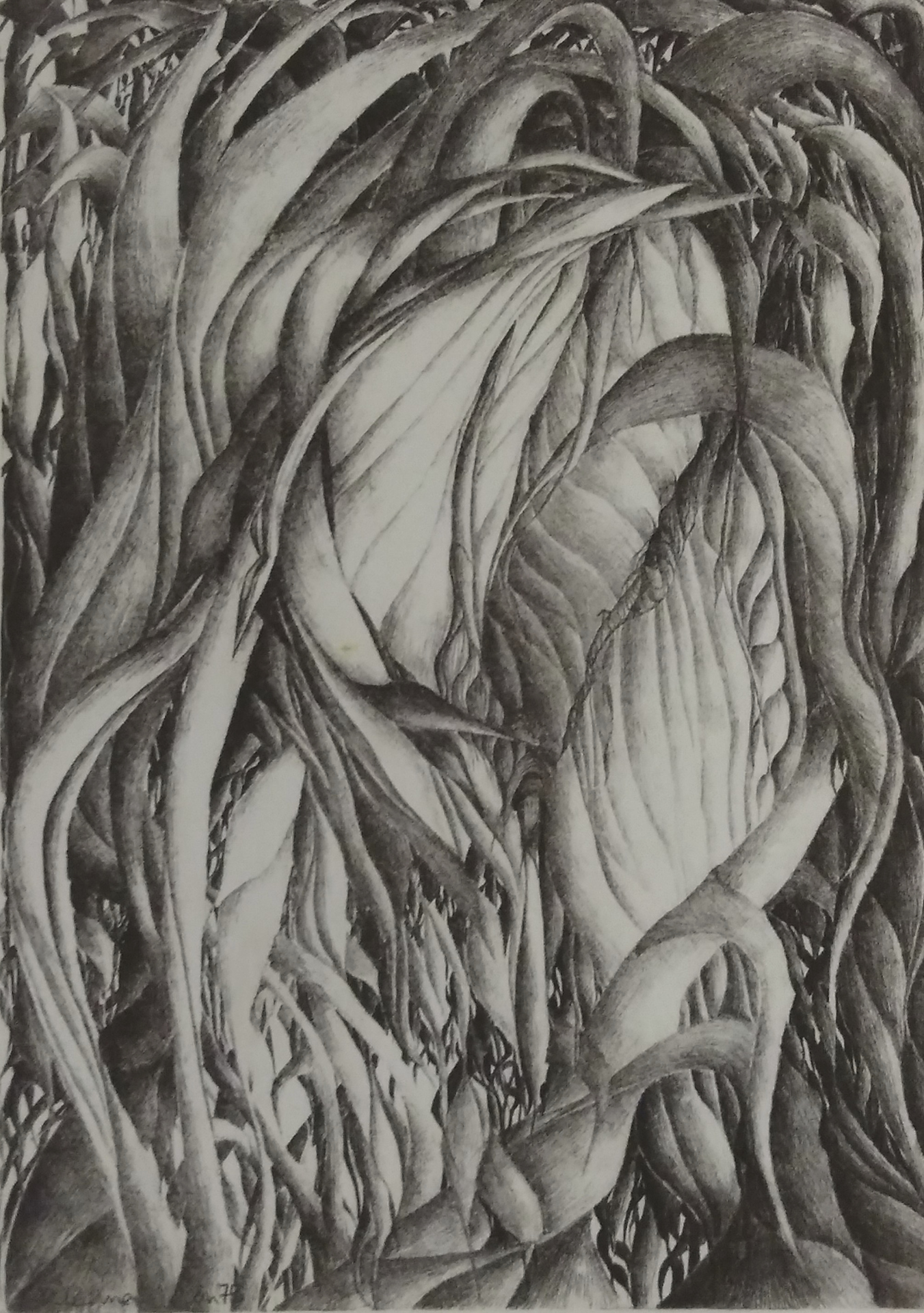 24 cm x 40 cm, 1975