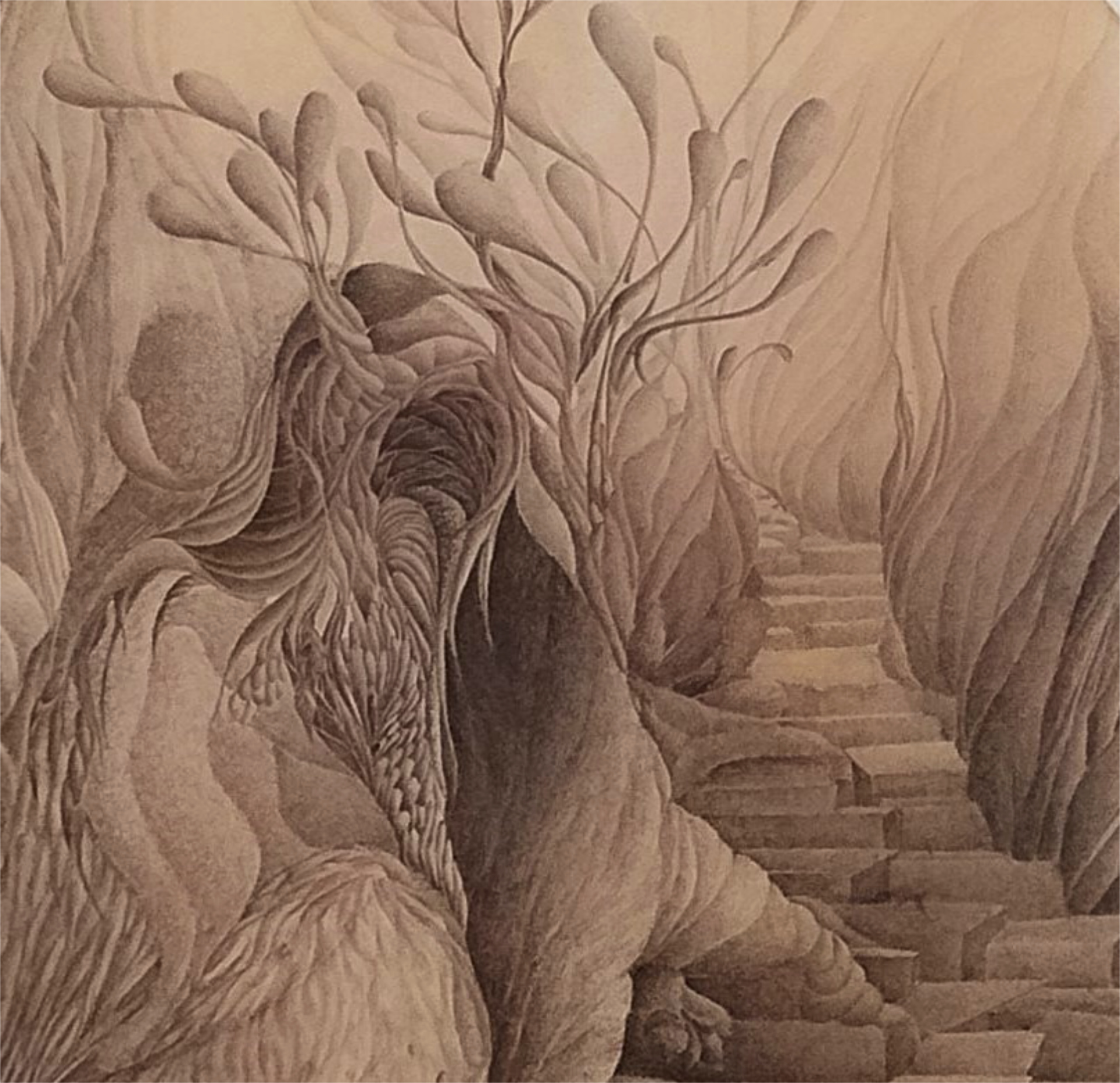 40 cm x 40 cm, 1976